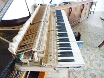 danneman-008 danneman-008