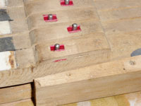 danneman-010 danneman-010